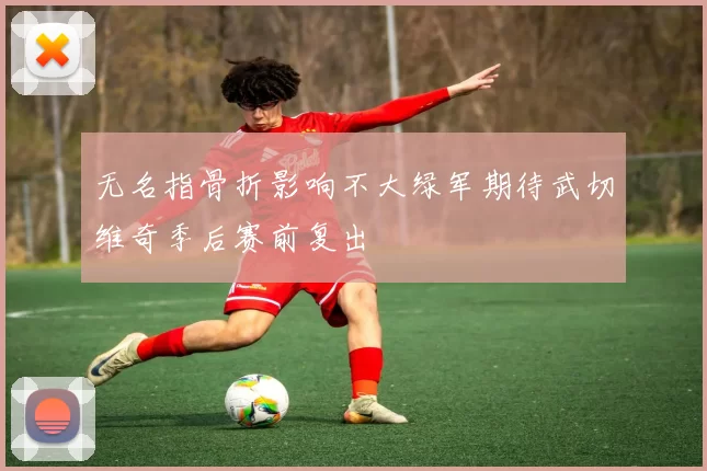 无名指骨折影响不大绿军期待武切维奇季后赛前复出